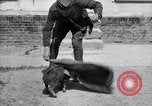 Image of US First Division troops  France, 1918, second 56 stock footage video 65675027501