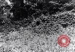 Image of Renault FT-17 Light Tank France, 1918, second 4 stock footage video 65675027506