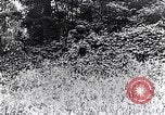 Image of Renault FT-17 Light Tank France, 1918, second 5 stock footage video 65675027506