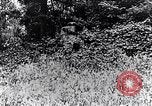 Image of Renault FT-17 Light Tank France, 1918, second 7 stock footage video 65675027506