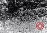 Image of Renault FT-17 Light Tank France, 1918, second 8 stock footage video 65675027506