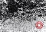 Image of Renault FT-17 Light Tank France, 1918, second 9 stock footage video 65675027506