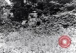 Image of Renault FT-17 Light Tank France, 1918, second 10 stock footage video 65675027506