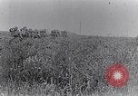 Standbild französische Soldaten beobachten Deutsche Schalen zerlegen Frankreich, 1916, aus Sekunde 37 historischem Filmmaterial Videoclip 65675027509
