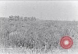Standbild französische Soldaten beobachten Deutsche Schalen zerlegen Frankreich, 1916, aus Sekunde 39 historischem Filmmaterial Videoclip 65675027509