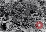 Immagine di Ufficiale francese Francia, 1917, secondo 28 filmato di repertorio 65675027513