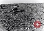 Immagine di Ufficiale francese Francia, 1917, secondo 45 filmato di repertorio 65675027513