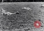 Immagine di Ufficiale francese Francia, 1917, secondo 49 filmato di repertorio 65675027513