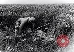 Immagine di Ufficiale francese Francia, 1917, secondo 60 filmato di repertorio 65675027513