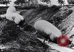 Immagine di Soldati francesi spostare osservazione palloncini lungo una strada Francia, 1917, secondo 54 filmato di repertorio 65675027517