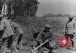 Image artilleurs français France, 1917, de la seconde 23 séquences d'archives historiques vidéo 65675027519