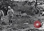 Image artilleurs français France, 1917, de la seconde 46 séquences d'archives historiques vidéo 65675027520