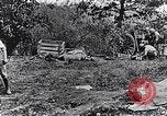 Image artilleurs français France, 1917, de la seconde 48 séquences d'archives historiques vidéo 65675027520