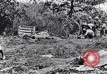 Image artilleurs français France, 1917, de la seconde 50 séquences d'archives historiques vidéo 65675027520