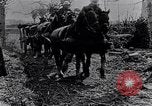 Image of British soldiers move supplies on horse-drawn wagons France, 1916, second 12 stock footage video 65675027526