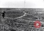 Image de la cavalerie britannique France, 1917, de la seconde 52 séquences d'archives historiques vidéo 65675027534