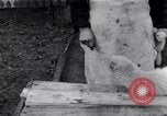 Standbild Mann Serbien, 1917, aus Sekunde 22 historischem Filmmaterial Videoclip 65675027537