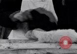 Standbild Mann Serbien, 1917, aus Sekunde 34 historischem Filmmaterial Videoclip 65675027537