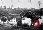 Image radeaux faite de perches et de sacs de toile Belgique, 1915, de la seconde 50 séquences d'archives historiques vidéo 65675027547