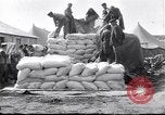 Immagine di Cameronians Salonicco Grecia, 1915, secondo 5 filmato di repertorio 65675027552