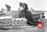 Immagine di Cameronians Salonicco Grecia, 1915, secondo 26 filmato di repertorio 65675027552