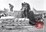 Immagine di Cameronians Salonicco Grecia, 1915, secondo 29 filmato di repertorio 65675027552
