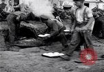 Immagine di Cameronians Salonicco Grecia, 1915, secondo 47 filmato di repertorio 65675027552