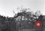 Immagine di Danni di guerra in Galizia La galizia ucraina, 1914, secondo 23 filmato di repertorio 65675027553