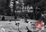 Immagine di Equestrians Inghilterra, 1916, secondo 12 filmato di repertorio 65675027554