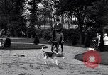 Immagine di Equestrians Inghilterra, 1916, secondo 14 filmato di repertorio 65675027554