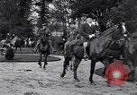 Immagine di Equestrians Inghilterra, 1916, secondo 28 filmato di repertorio 65675027554