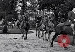 Immagine di Equestrians Inghilterra, 1916, secondo 29 filmato di repertorio 65675027554