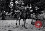 Immagine di Equestrians Inghilterra, 1916, secondo 31 filmato di repertorio 65675027554
