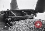 Standbild alte Fischer Sidmouth England, 1916, aus Sekunde 40 historischem Filmmaterial Videoclip 65675027556