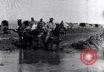 Immagine di Francese soldati prima guerra mondiale cross creek Maurepas Yvelines Francia, 1917, secondo 5 filmato di repertorio 65675027557