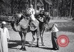 Image North African peuple nomade en Afrique du Nord, 1930, de la seconde 20 séquences d'archives historiques vidéo 65675027571