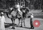 Image North African peuple nomade en Afrique du Nord, 1930, de la seconde 21 séquences d'archives historiques vidéo 65675027571