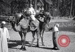 Image North African peuple nomade en Afrique du Nord, 1930, de la seconde 22 séquences d'archives historiques vidéo 65675027571