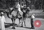 Image North African peuple nomade en Afrique du Nord, 1930, de la seconde 23 séquences d'archives historiques vidéo 65675027571