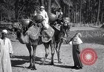 Image North African peuple nomade en Afrique du Nord, 1930, de la seconde 25 séquences d'archives historiques vidéo 65675027571