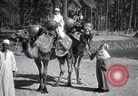 Image North African peuple nomade en Afrique du Nord, 1930, de la seconde 26 séquences d'archives historiques vidéo 65675027571