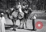 Image North African peuple nomade en Afrique du Nord, 1930, de la seconde 27 séquences d'archives historiques vidéo 65675027571