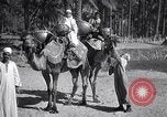 Image North African peuple nomade en Afrique du Nord, 1930, de la seconde 28 séquences d'archives historiques vidéo 65675027571