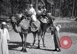 Image North African peuple nomade en Afrique du Nord, 1930, de la seconde 29 séquences d'archives historiques vidéo 65675027571