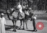 Image North African peuple nomade en Afrique du Nord, 1930, de la seconde 30 séquences d'archives historiques vidéo 65675027571