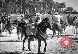 Image North African peuple nomade en Afrique du Nord, 1930, de la seconde 45 séquences d'archives historiques vidéo 65675027571