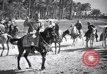 Image North African peuple nomade en Afrique du Nord, 1930, de la seconde 55 séquences d'archives historiques vidéo 65675027571