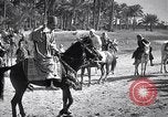 Image North African peuple nomade en Afrique du Nord, 1930, de la seconde 58 séquences d'archives historiques vidéo 65675027571