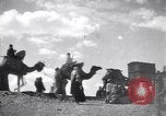 Image North African peuple nomade en Afrique du Nord, 1930, de la seconde 59 séquences d'archives historiques vidéo 65675027571