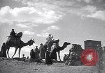 Image North African peuple nomade en Afrique du Nord, 1930, de la seconde 60 séquences d'archives historiques vidéo 65675027571